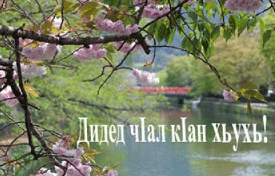 ЧIалаз кьецI гумир
