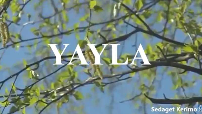 Yayla